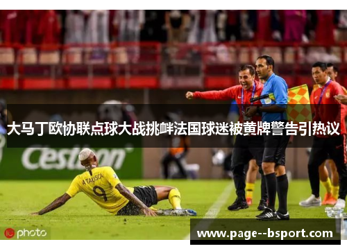 大马丁欧协联点球大战挑衅法国球迷被黄牌警告引热议