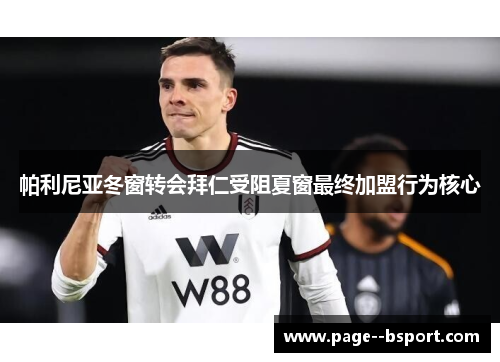 帕利尼亚冬窗转会拜仁受阻夏窗最终加盟行为核心