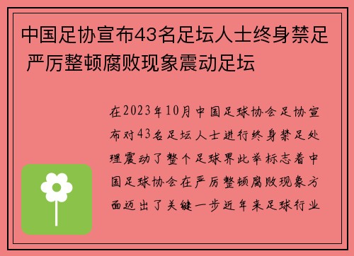 中国足协宣布43名足坛人士终身禁足 严厉整顿腐败现象震动足坛