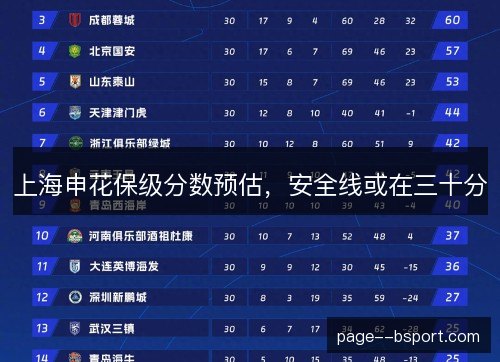 上海申花保级分数预估,安全线或在三十分 上海申花保级分数预估,安全线或在三十分